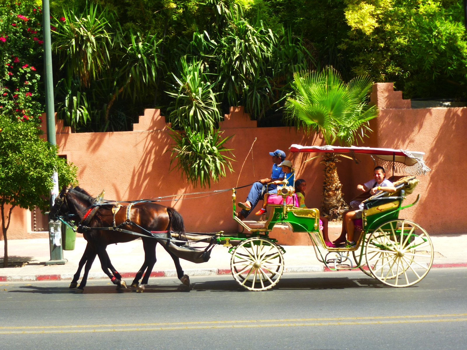 Marrakech by night, carriage tour