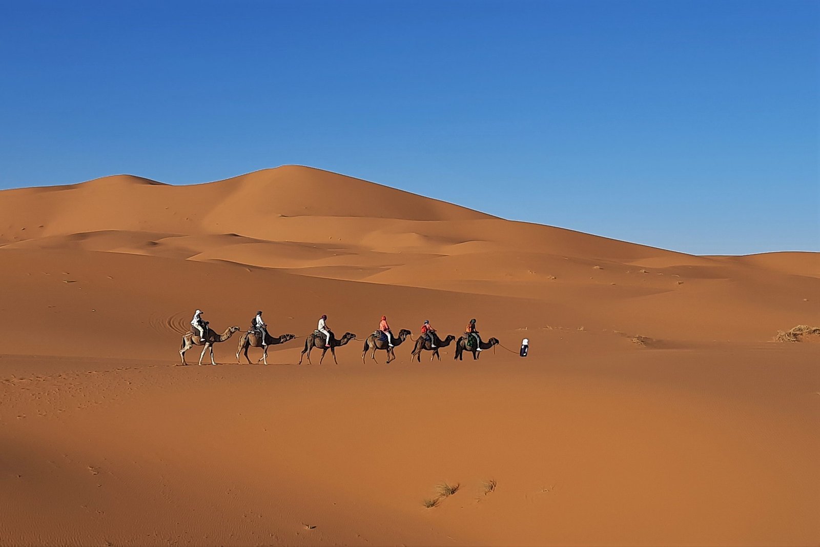 2 days Zagora desert tour from Marrakech