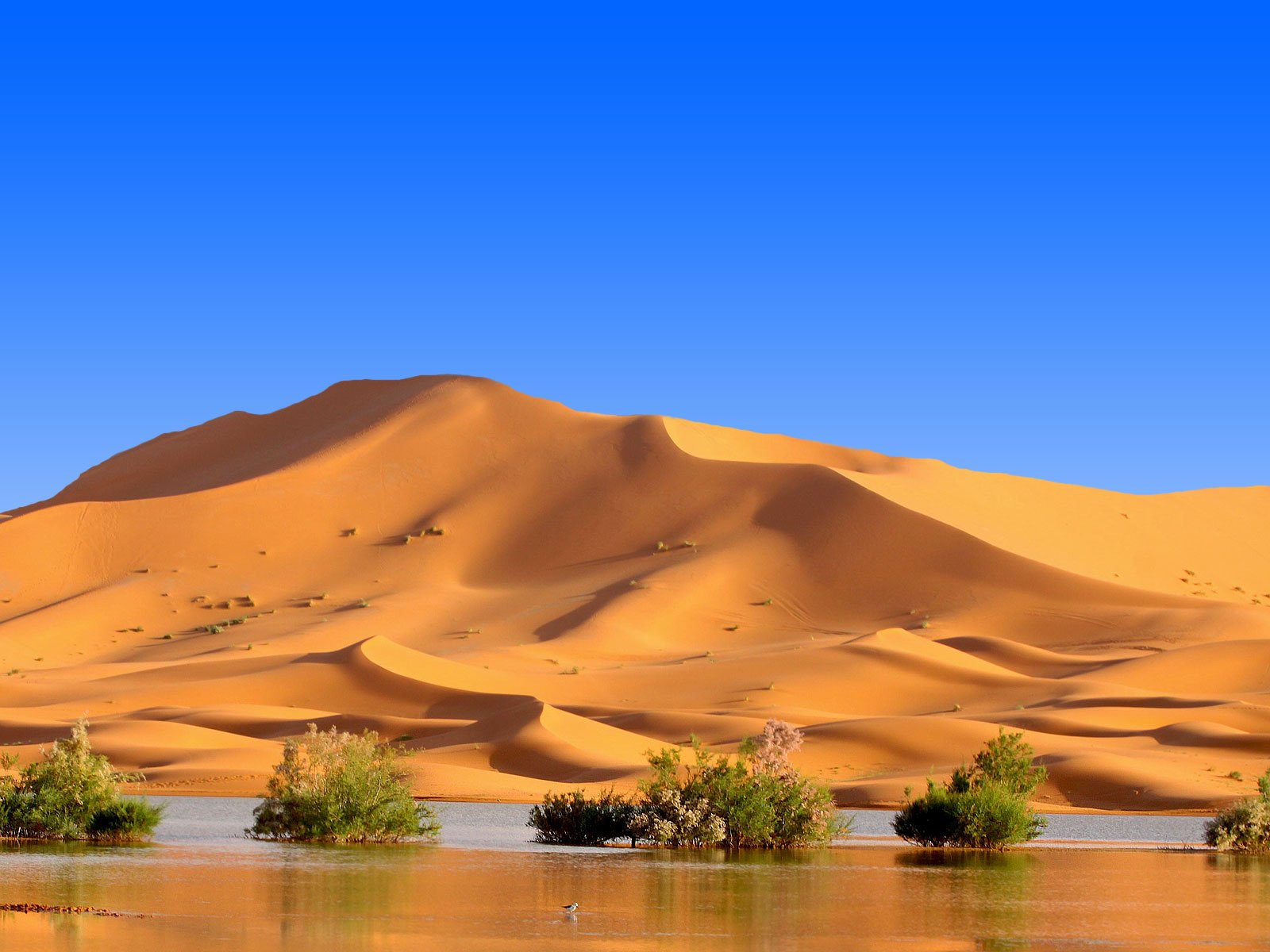 4 days tour to the Merzouga desert