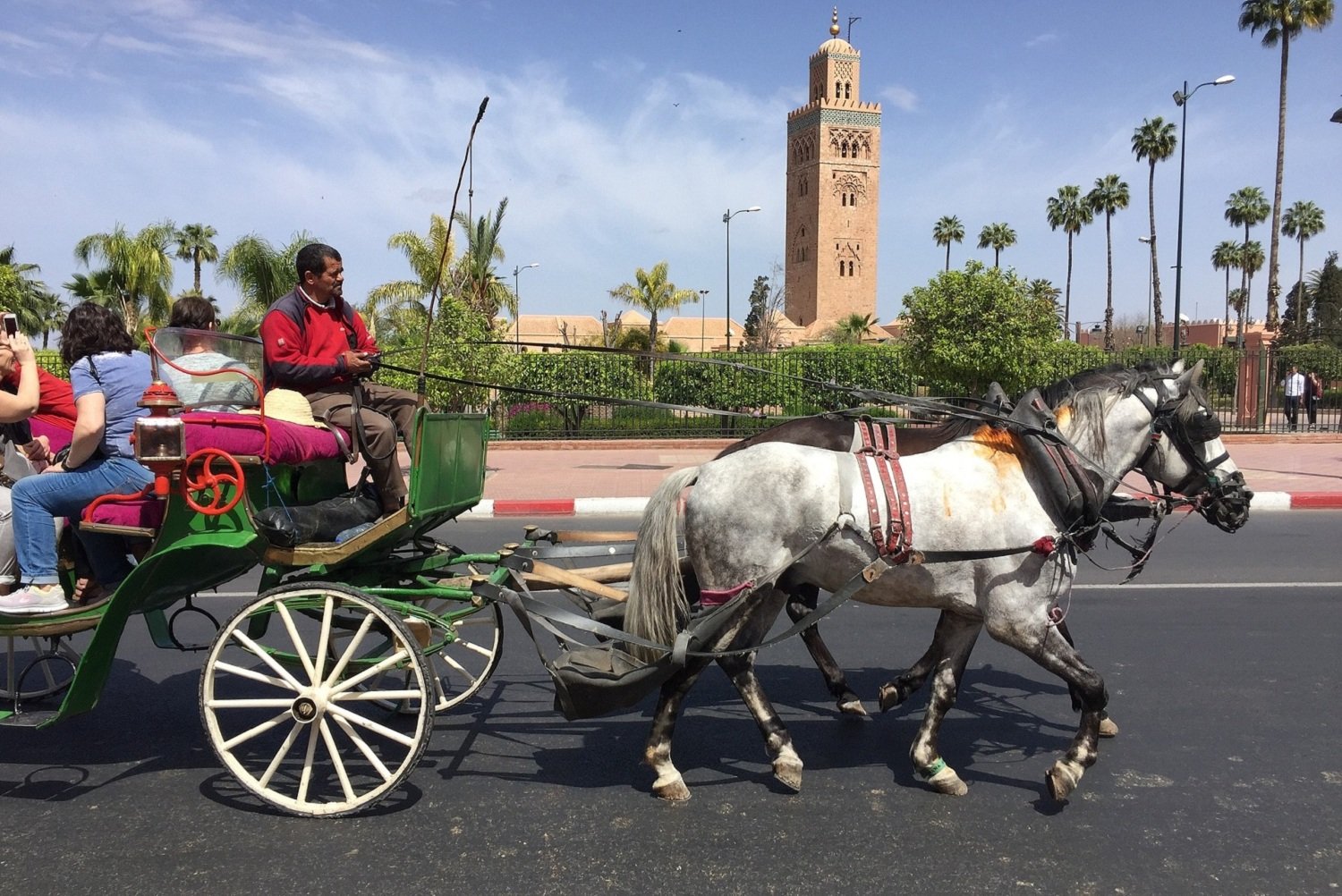 carriage ride in the Palmeraie and the Gardens