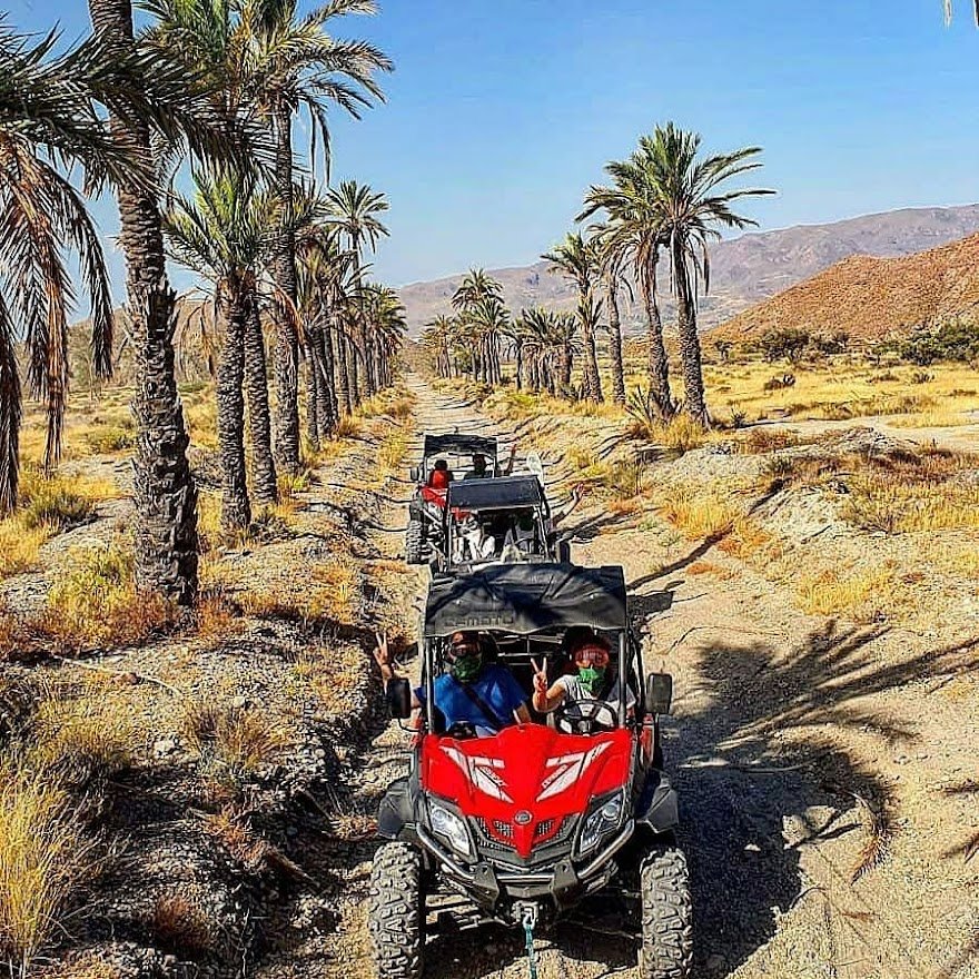 Combined Quad and camel ride